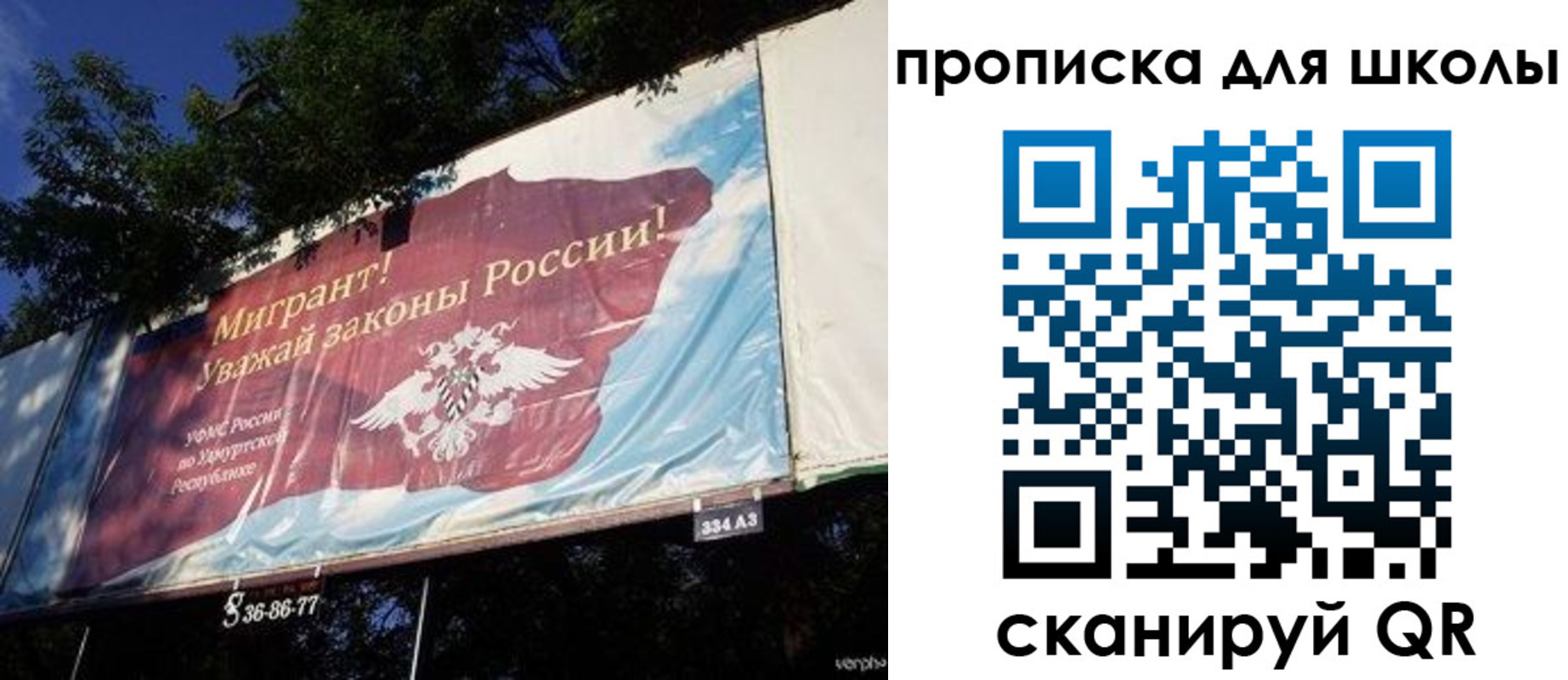 прописка для работы в Купино